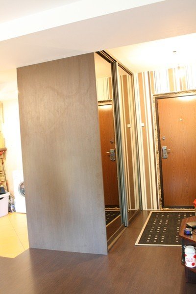 dvipusė spinta tarp prieškambario ir virtuvės veidrodinėmis durimis.jpg